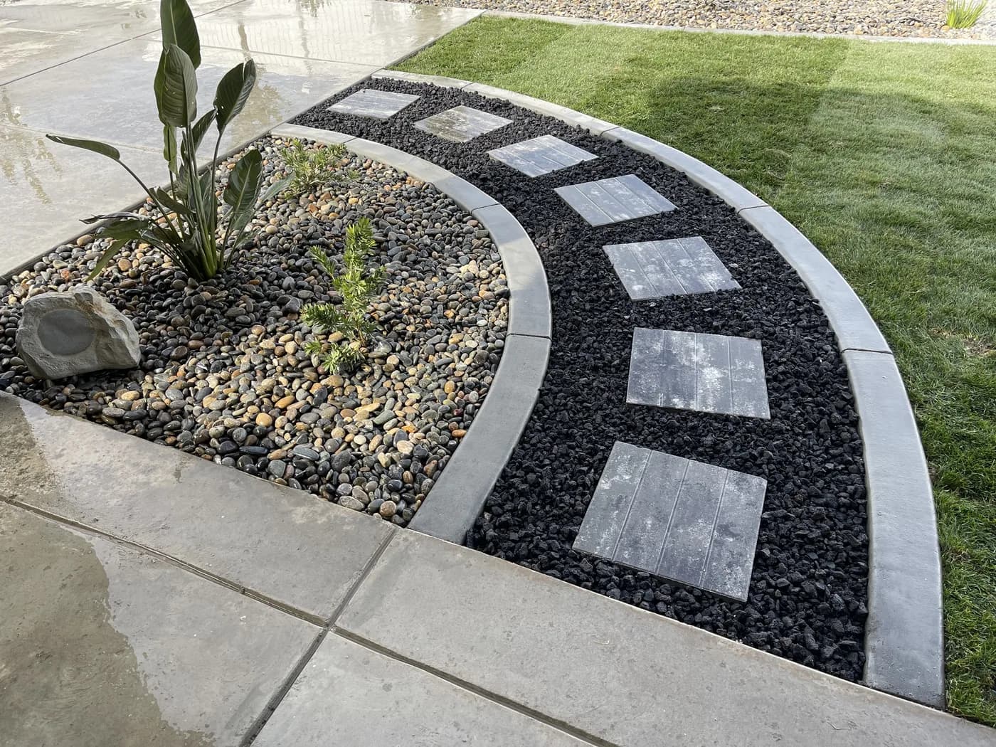 Curved path of concrete pads in black lava rock, edged in concrete beside a lawn