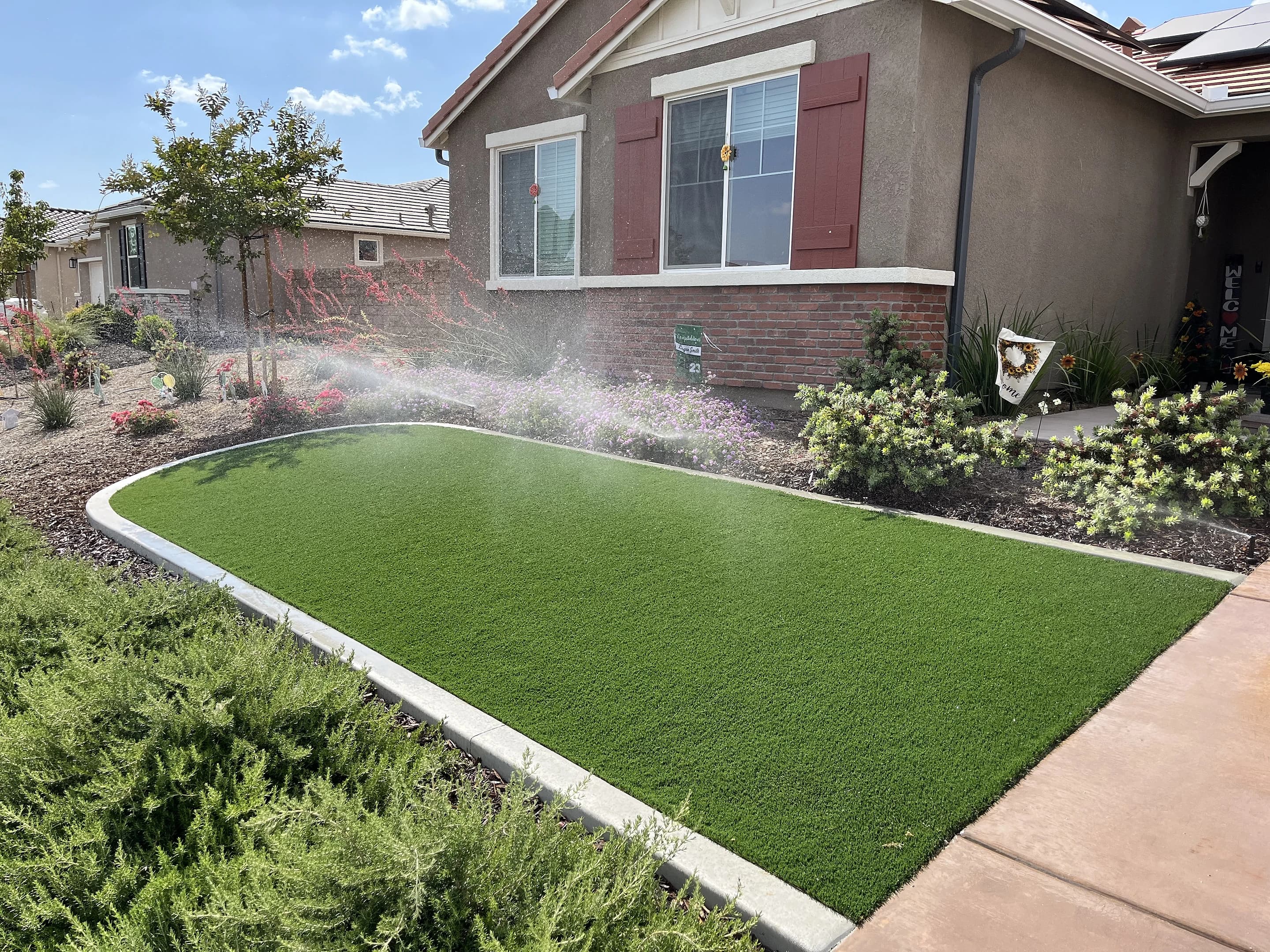 Sprinklers running on a front lawn edged with concrete, with shrubs and flowers around it