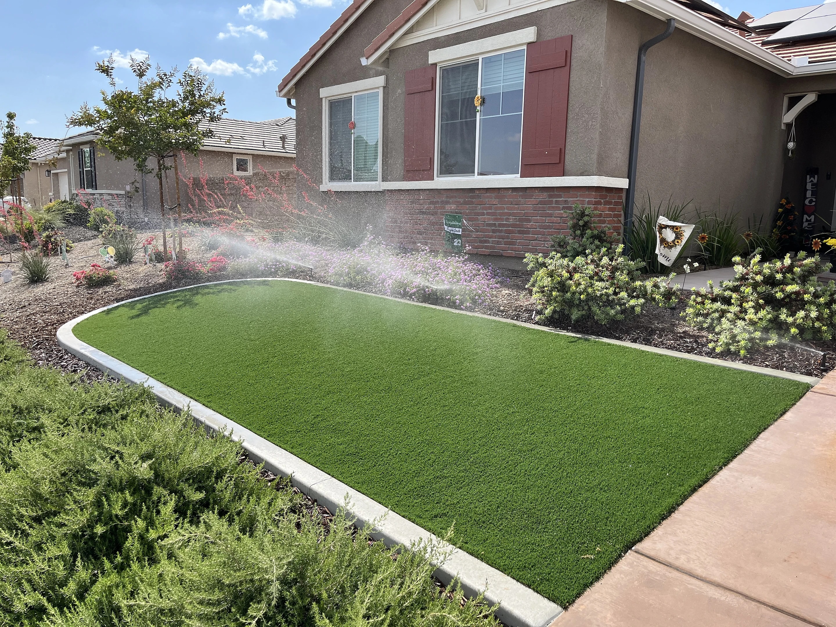 Sprinklers running on a front lawn edged with concrete, with shrubs and flowers around it