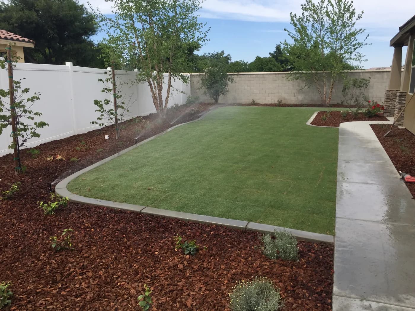 Sprinklers misting a lawn edged with a concrete curb, beside a wet walkway