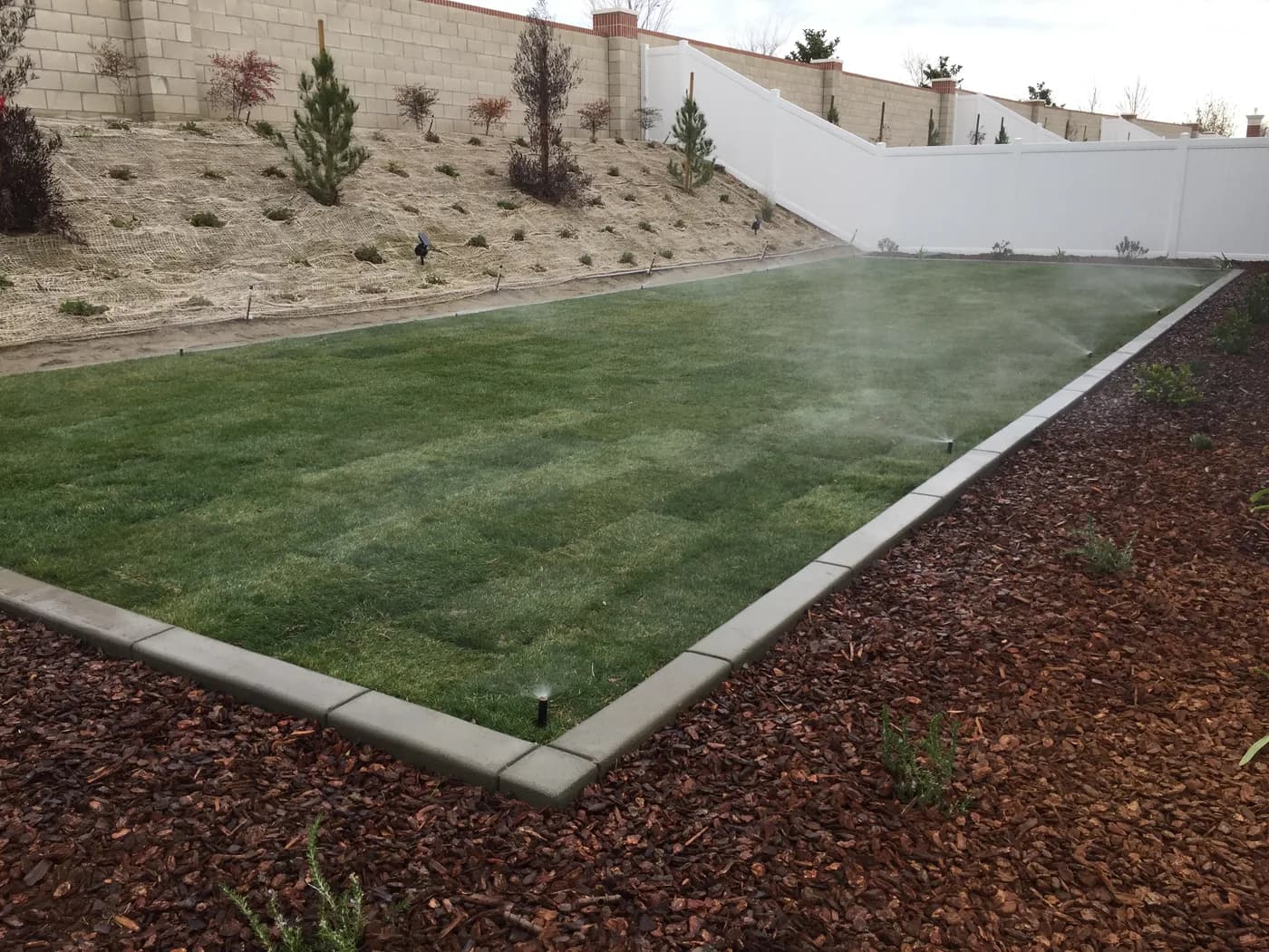 Sprinklers misting a newly laid lawn inside a concrete border, with bark beds around it