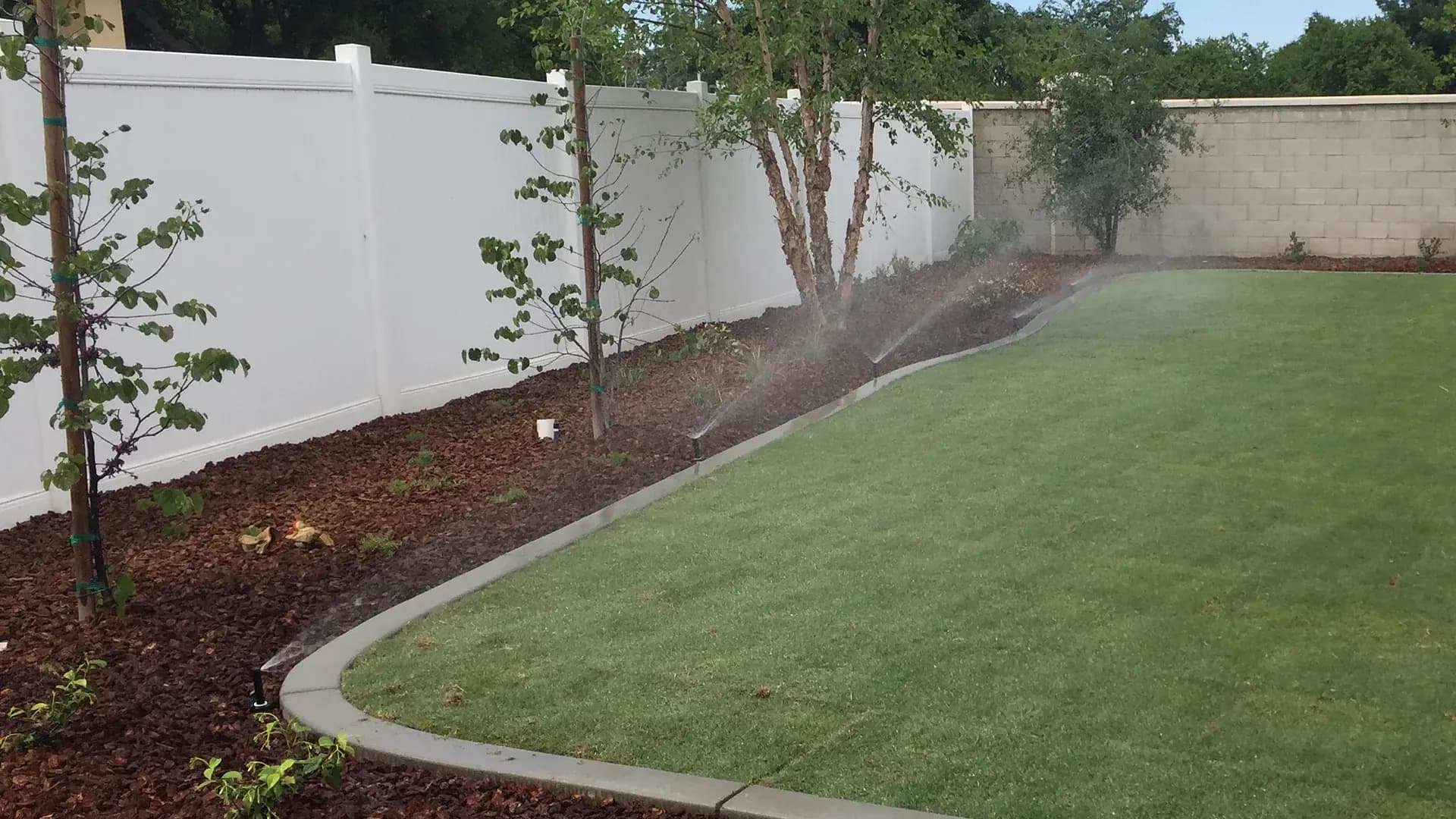 Sprinklers spraying along a curved lawn edge