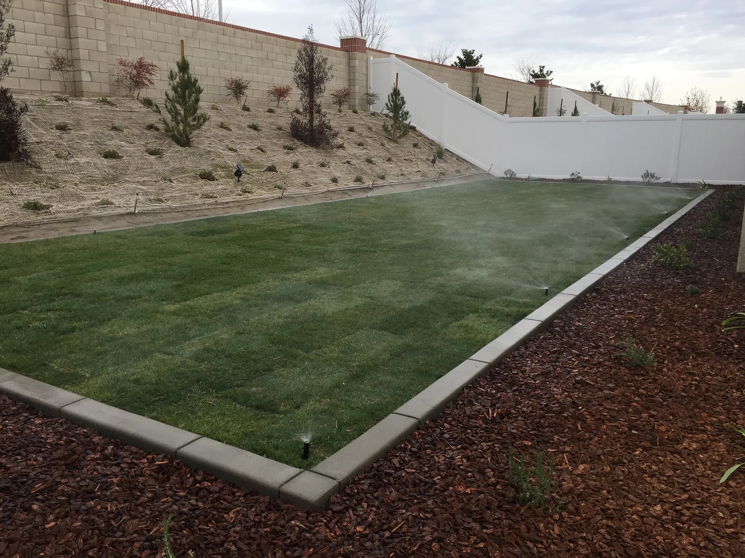 Sprinklers running on a new lawn