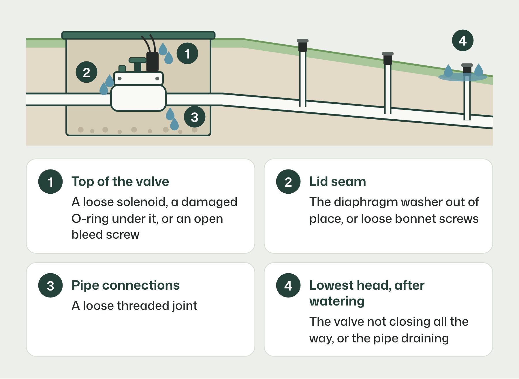 Where a leaking sprinkler valve shows water