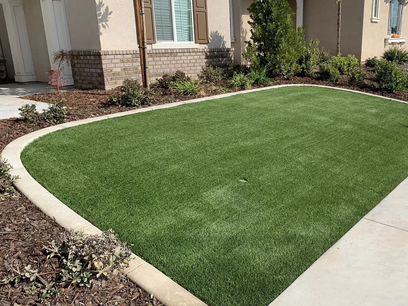 Artificial turf front lawn with a concrete border and planted beds
